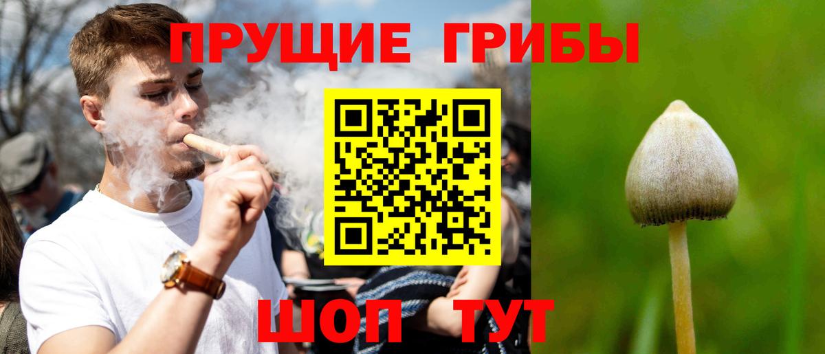 Галлюциногенные грибы прущие грибы  Вход с VPN  Галлюциногенные грибы GOLDEN TEACHER  Коммунар 
