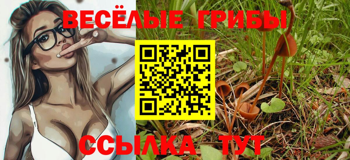 Галлюциногенные грибы ЛСД Коммунар